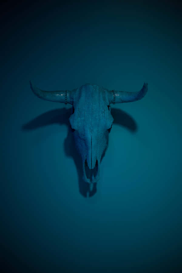 A Bull Skull Against A Blue Sky Wallpaper