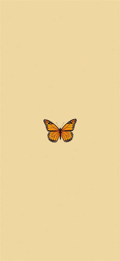 A Butterfly Is Sitting On A Beige Background Wallpaper