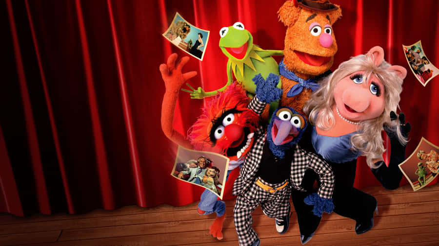 A Classic Throwback To The Iconic Muppet, Animal Wallpaper