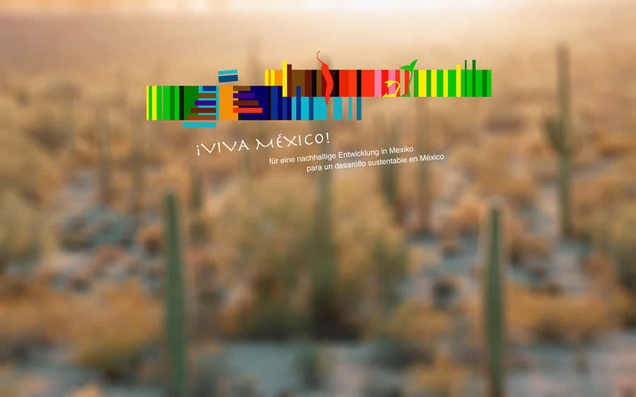 A Colorful Background With Cactus And A Sign Wallpaper