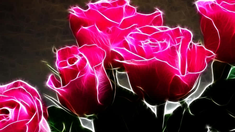 A Colorful Bouquet Of Roses Against A Black Background. Wallpaper