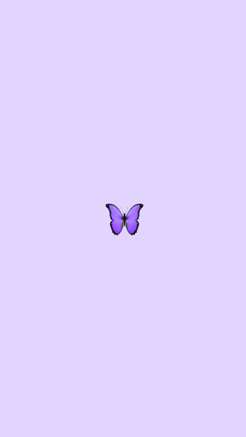 A Cute Purple Butterfly Spreads Its Wings Wallpaper