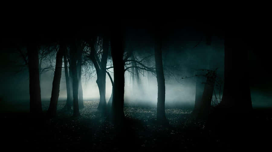 A Dark Forest With Fog And Light Wallpaper