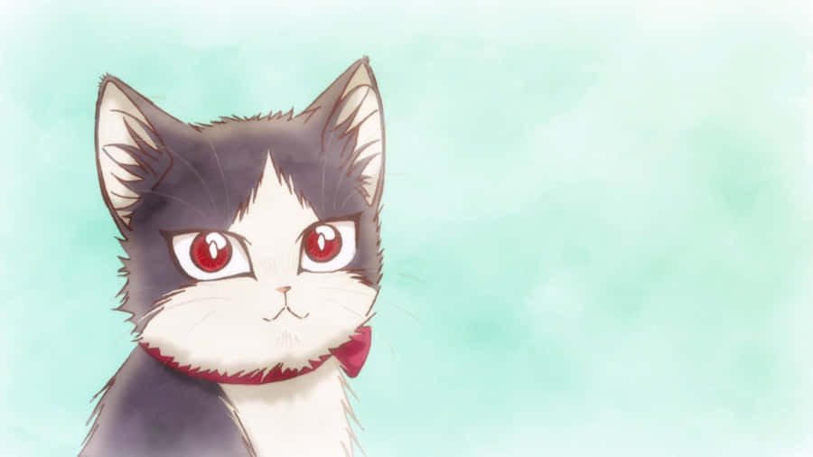 A Domestic Cat Enjoying Its Time With Young Man In A Room Wallpaper