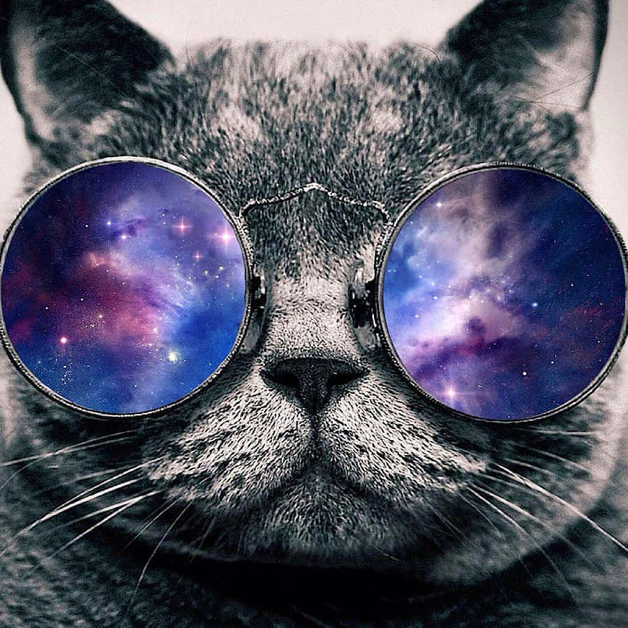 A Dreamy, Galactic Cat Looking Off Into The Night Wallpaper