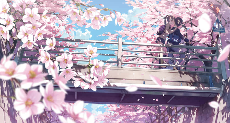 A Girl Is Standing On A Bridge With Cherry Blossoms Wallpaper