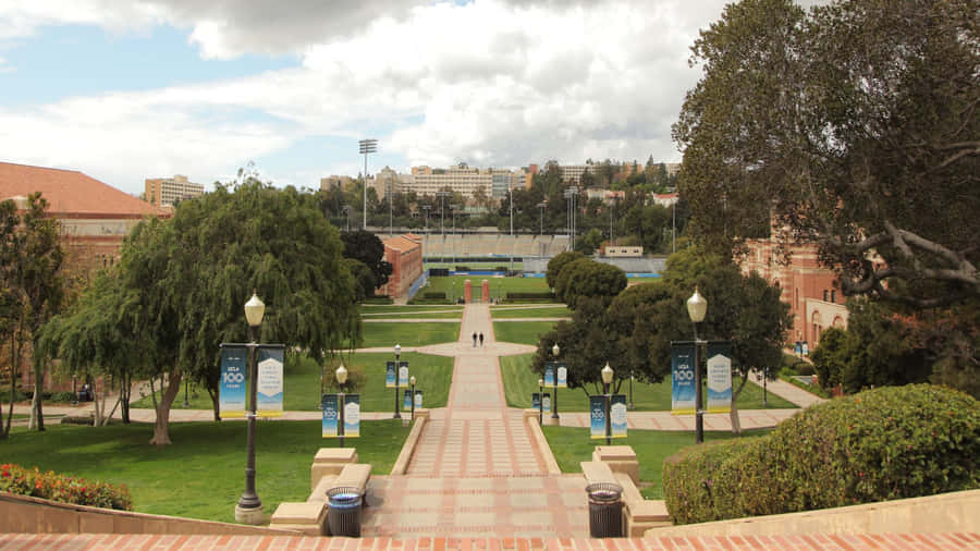 A Glimpse Of Ucla Campus Wallpaper