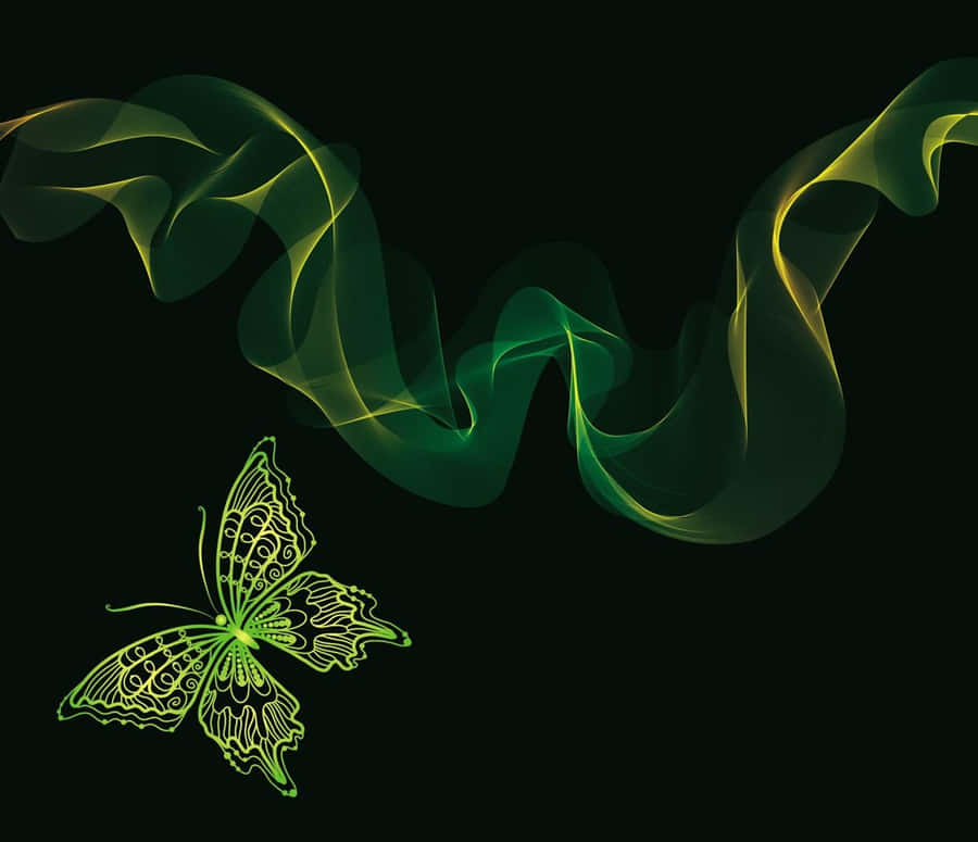 A Green Butterfly Enjoying The Sunshine Wallpaper