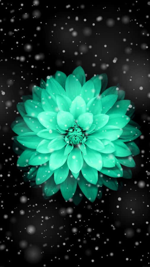 A Green Flower With Snow Falling On It Wallpaper