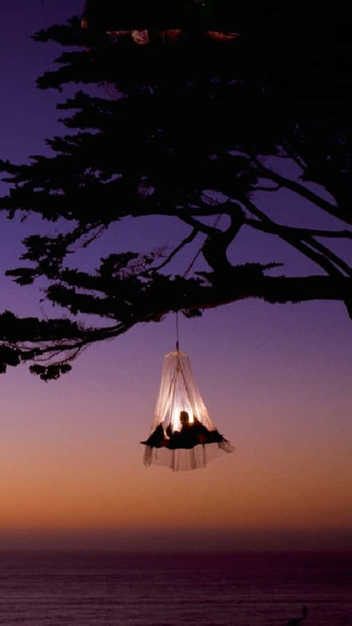 A Hammock Hanging From A Tree At Dusk Wallpaper
