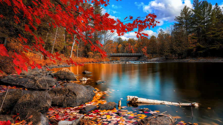 A Lake With Red Leaves And Rocks Wallpaper