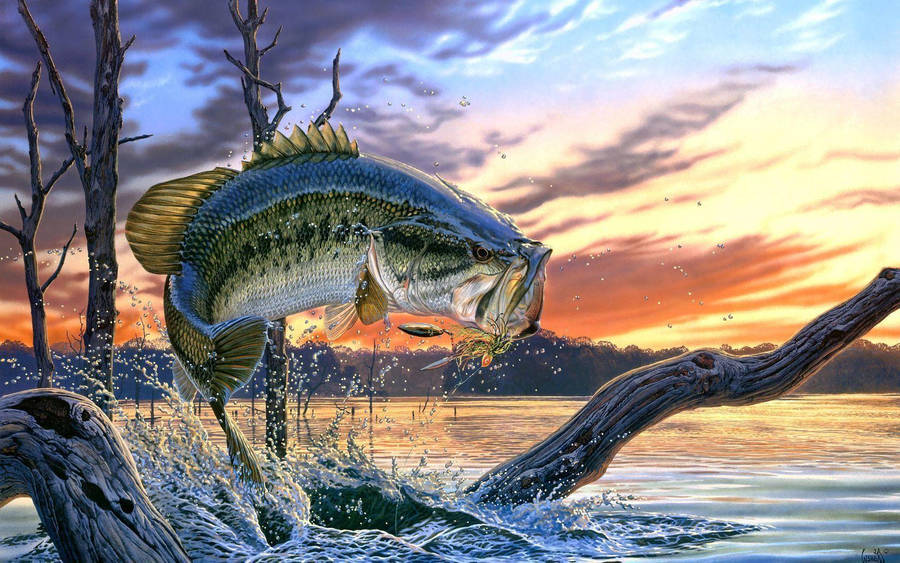 A Largemouth Bass On A Sunset Wallpaper