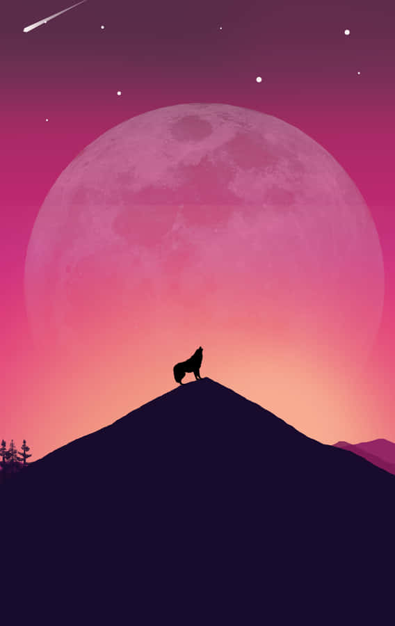 A Majestic Pink Wolf Stares Into The Distance With A Quiet Curiosity Wallpaper