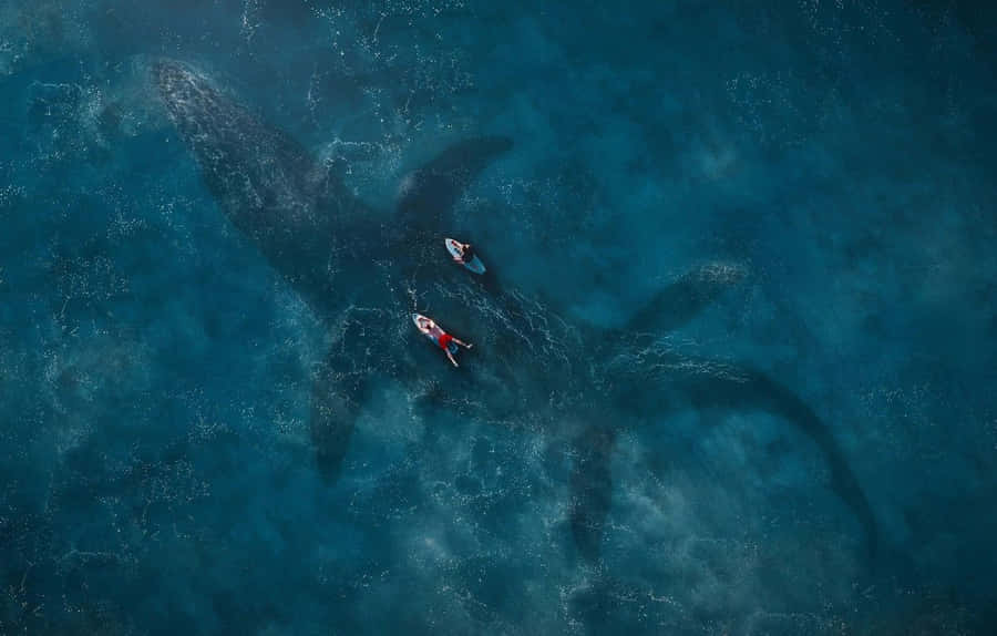 A Man And Woman Are Swimming In The Ocean With A Whale Wallpaper