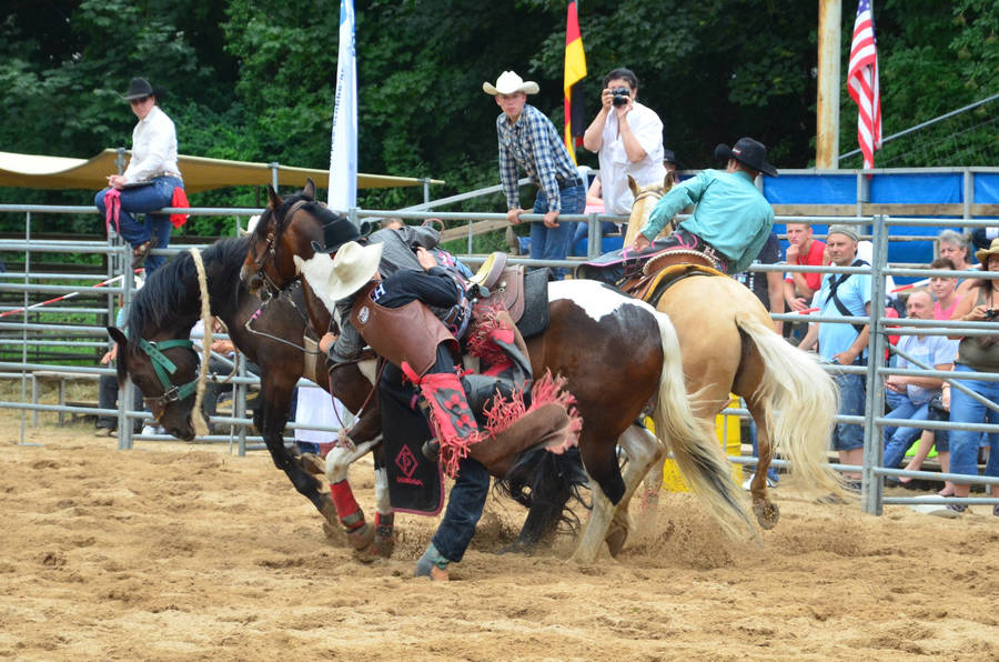 A Man On A Horse Wallpaper