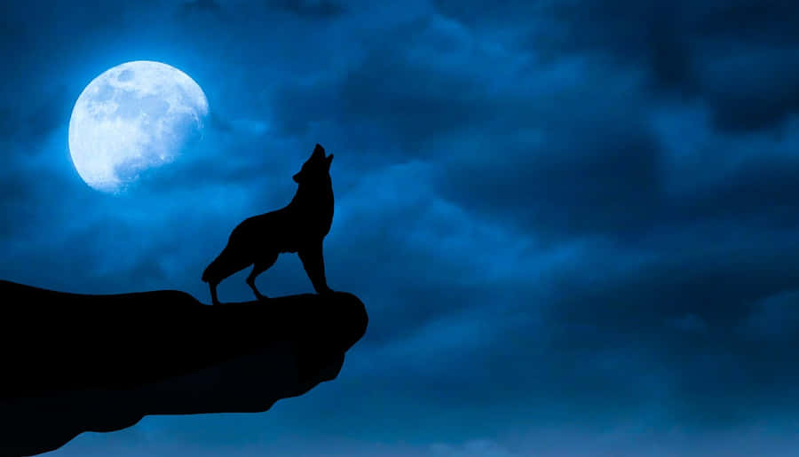 “a Mesmerizing Display, The Wolf Moon Rises Full Through The Night Sky.” Wallpaper