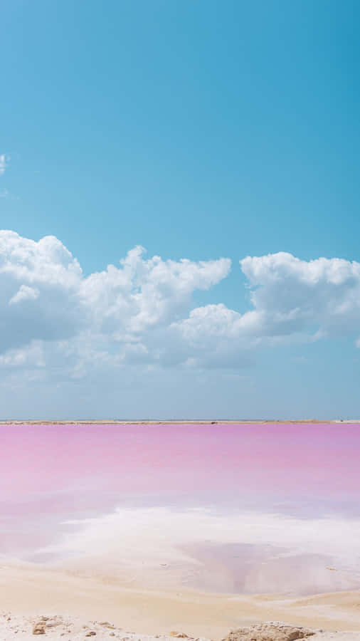 A Mesmerizing View Of The Captivating Pink Beach Wallpaper