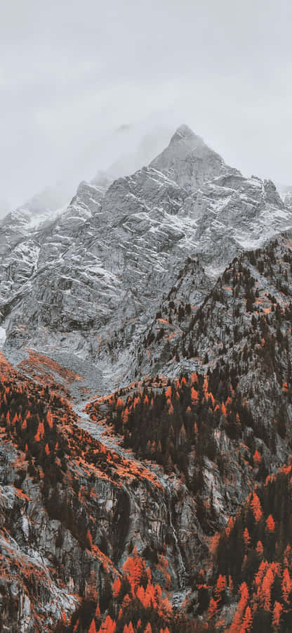 A Mountain Range With Red Trees And A Mountain Wallpaper