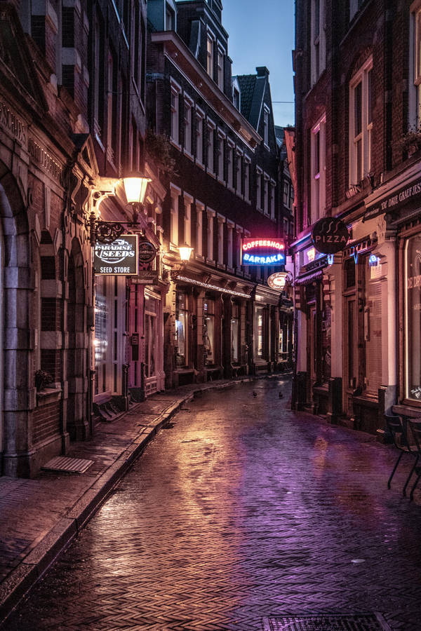 A Night On The Town Wallpaper