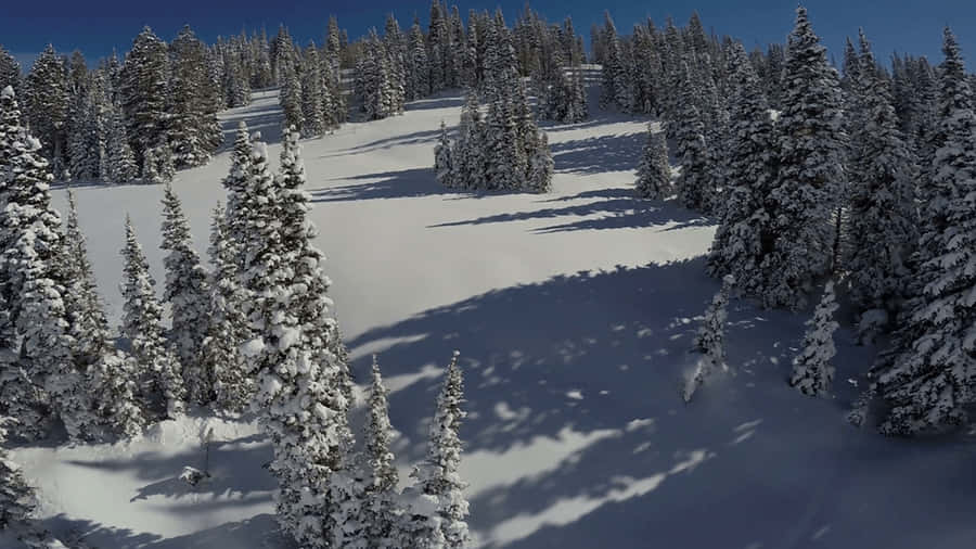 A Peaceful Winter Snowscape In 4k Wallpaper