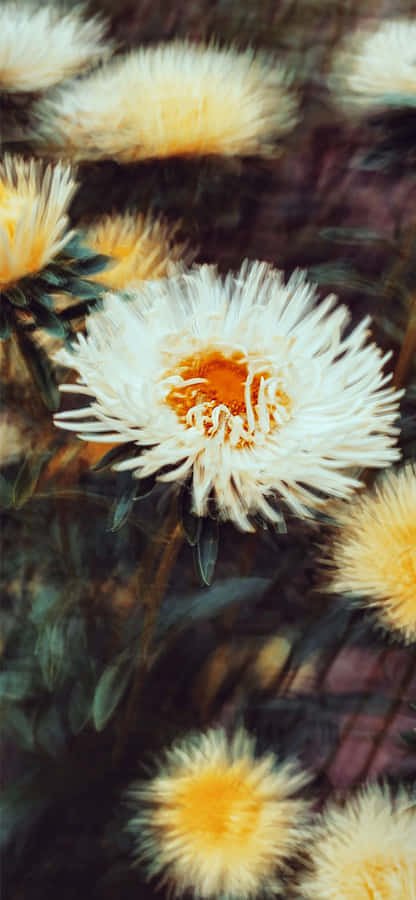 A Phone Lay Alone, Its Display Screen Blank And Its Power Button No Longer Illuminated Wallpaper