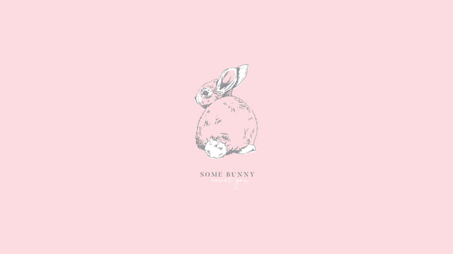 A Pink Bunny With The Words'tee Ru' On It Wallpaper