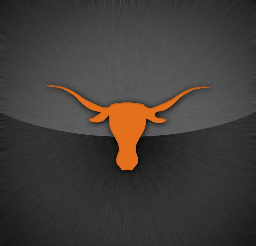 A Proud Texas Longhorn On A Beautiful Prairie Setting Wallpaper