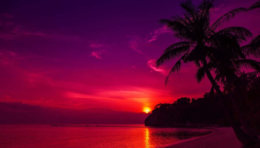 A Purple Sunset Over A Beach With Palm Trees Wallpaper