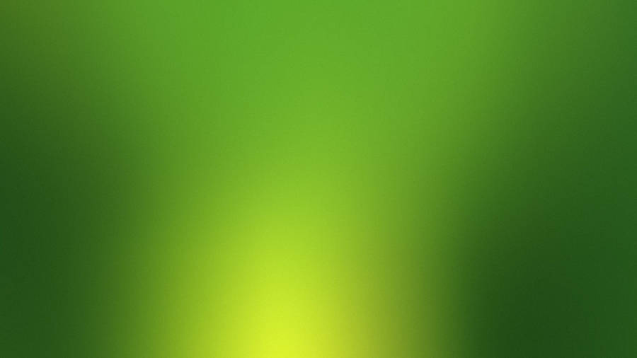 A Refreshing And Calming Plain Green Background. Wallpaper