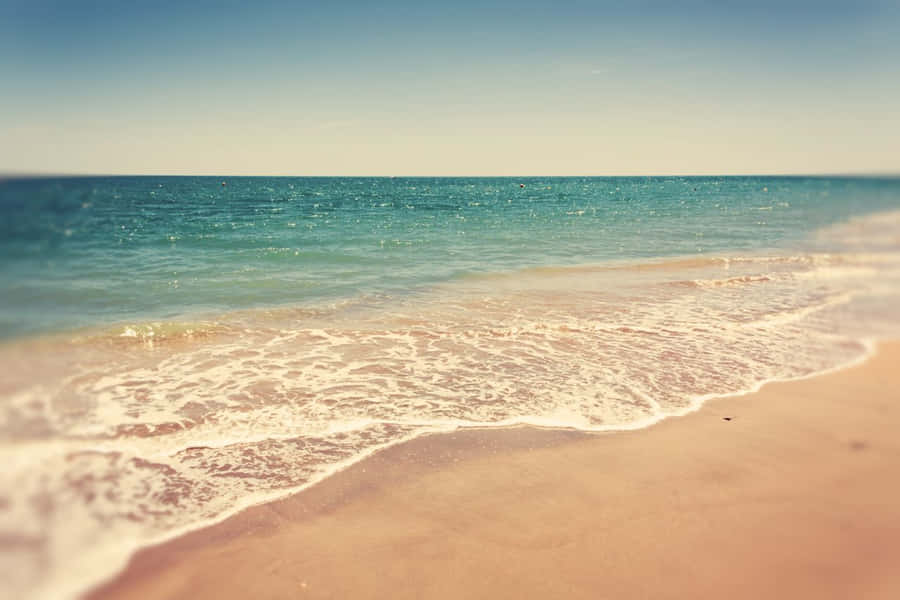 A Relaxing Beach Day Wallpaper