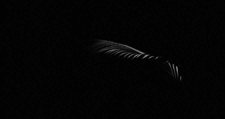 A Silhouette Of A Leaf On A Black Background Wallpaper
