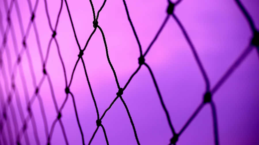 A Sleek And Stylish Purple Laptop