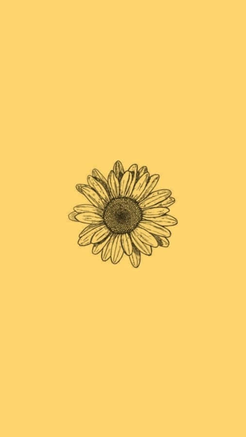 A Sunflower On A Yellow Background Wallpaper