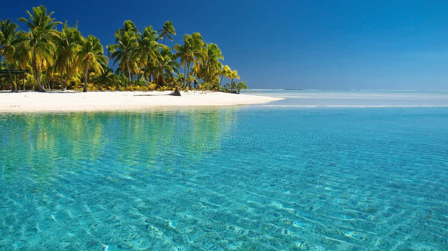 A Tropical Island With Clear Water And Palm Trees Wallpaper