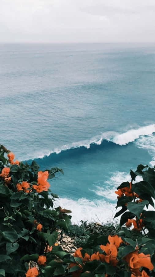 A View Of The Ocean With Orange Flowers Wallpaper