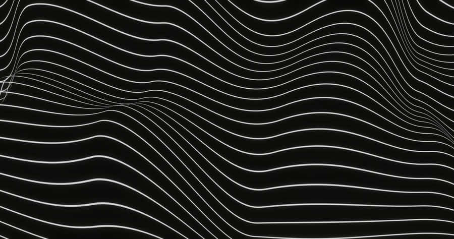 Abstract Blackand White Wave Lines Wallpaper