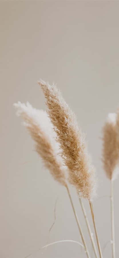 Abstract Light And Dark Pattern Wallpaper