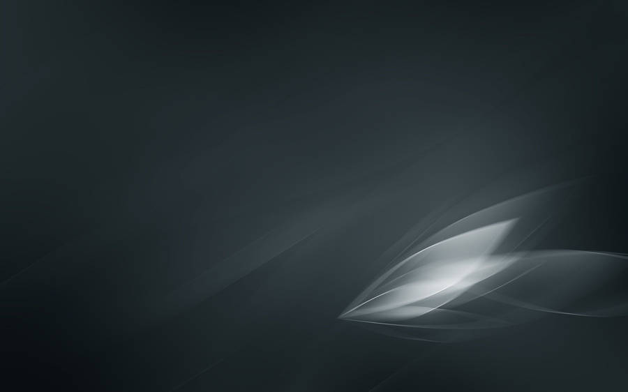 Abstract White Pattern Clean 4k Wallpaper