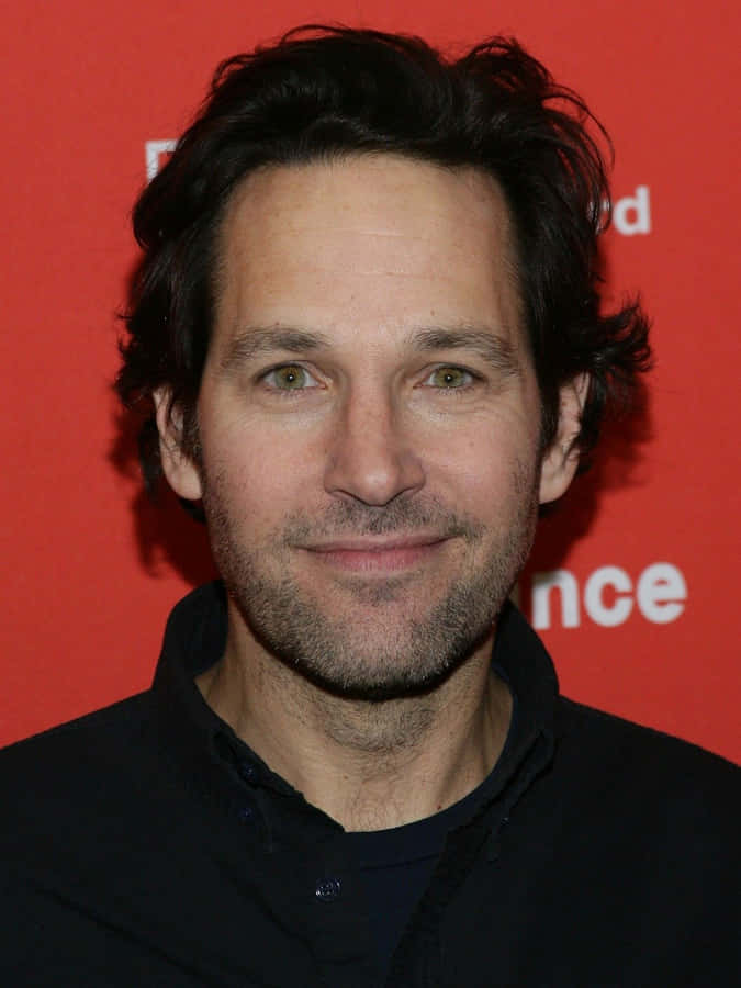 Actor Paul Rudd Wallpaper