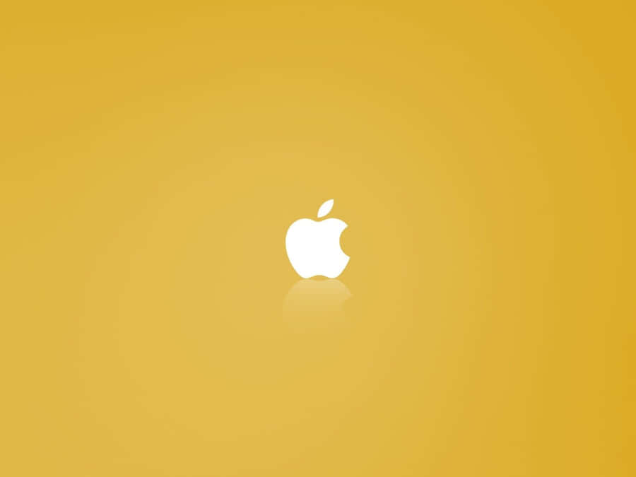 Add A Pop Of Color To Your Desktop With This Fun Yellow Wallpaper Wallpaper