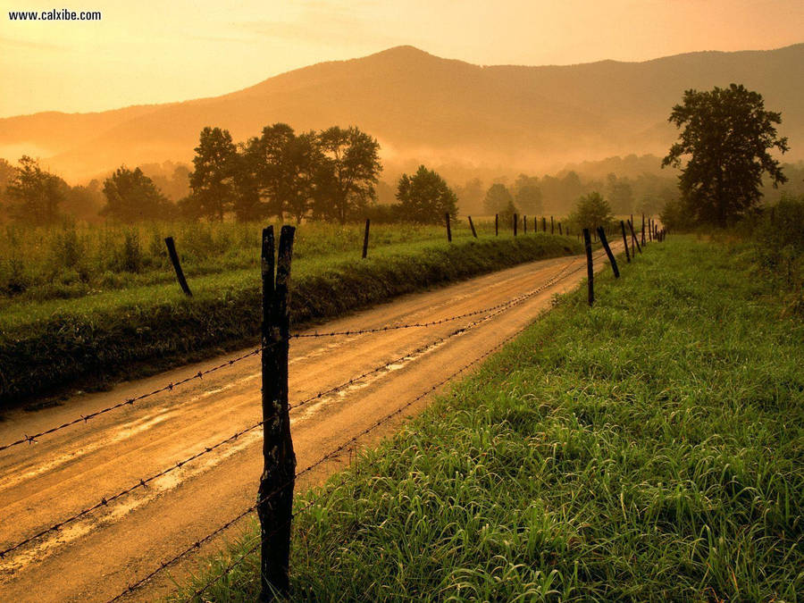 Admire The Stunning Natural Beauty Of Tennessee's Great Smoky Mountains Wallpaper