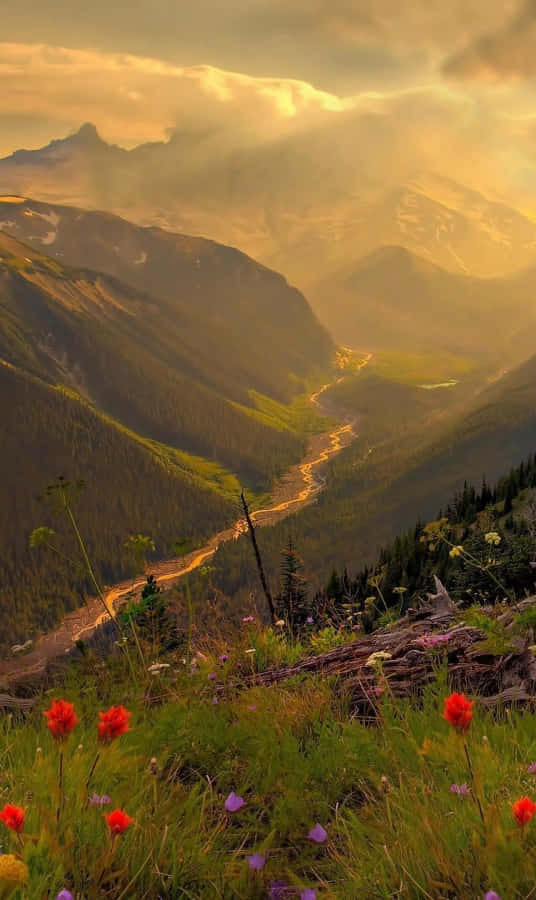 Admiring The Beauty Of Cool Nature Wallpaper