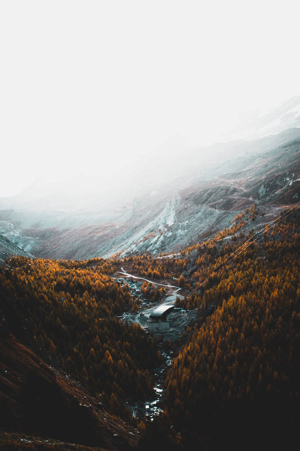 Aerial Photography Of Brown Trees And Mountains Under White Clouds Wallpaper