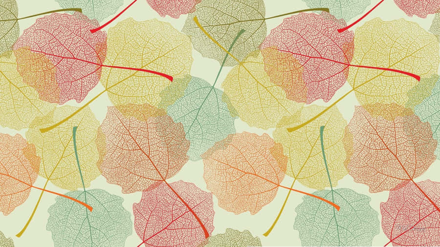 Aesthetic Autumn Leaves Colors Wallpaper
