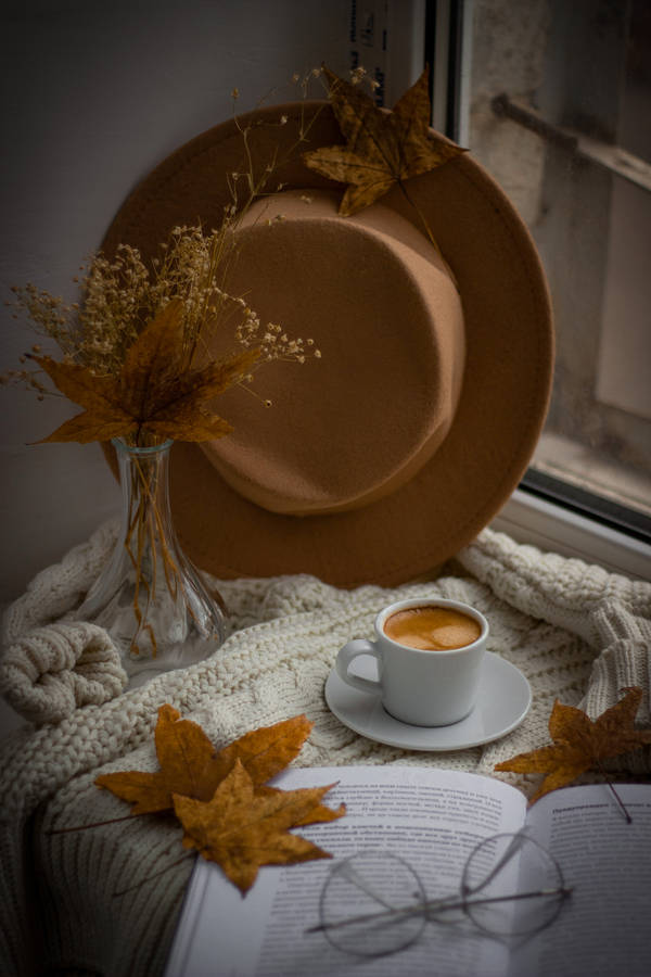 Aesthetic Brown Hat Wallpaper
