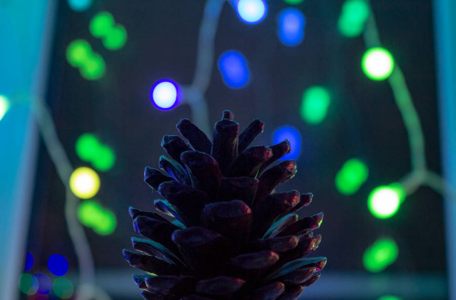 Aesthetic Christmas Pine Cone Wallpaper