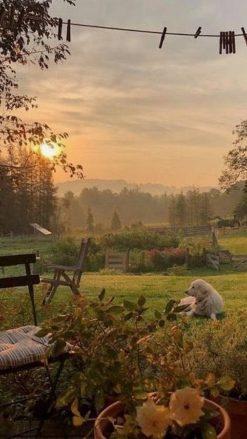 Aesthetic Cottagecore Sunrise Wallpaper