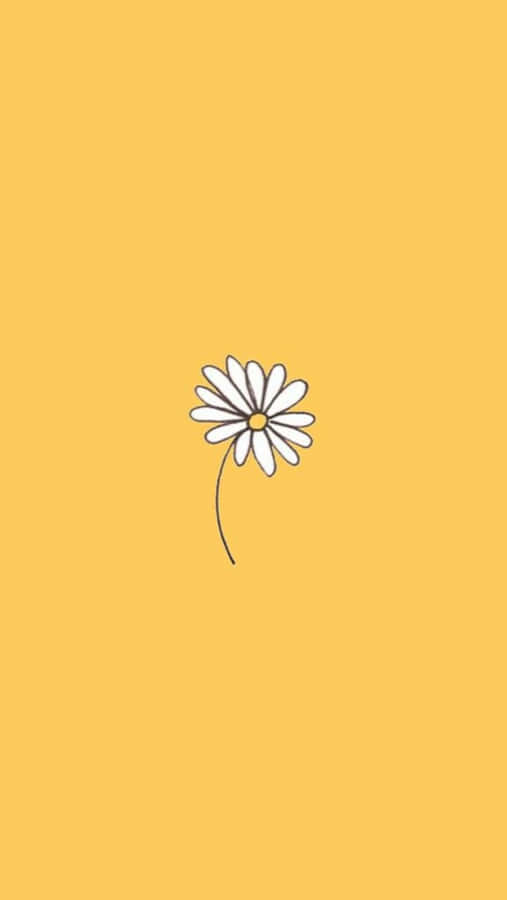 Aesthetic Daisy Cute Doodle Art Wallpaper
