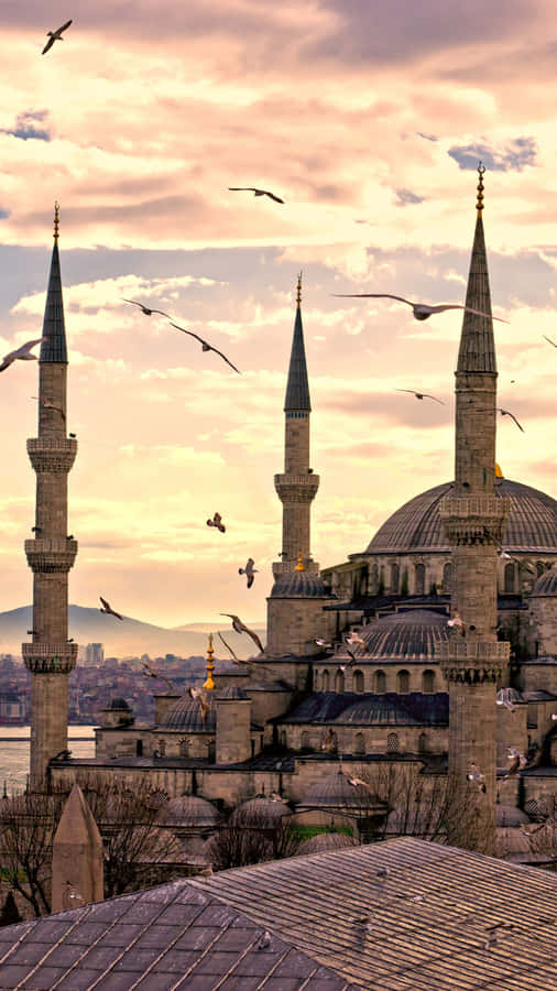 Aesthetic Flying Birds In Blue Mosque Wallpaper