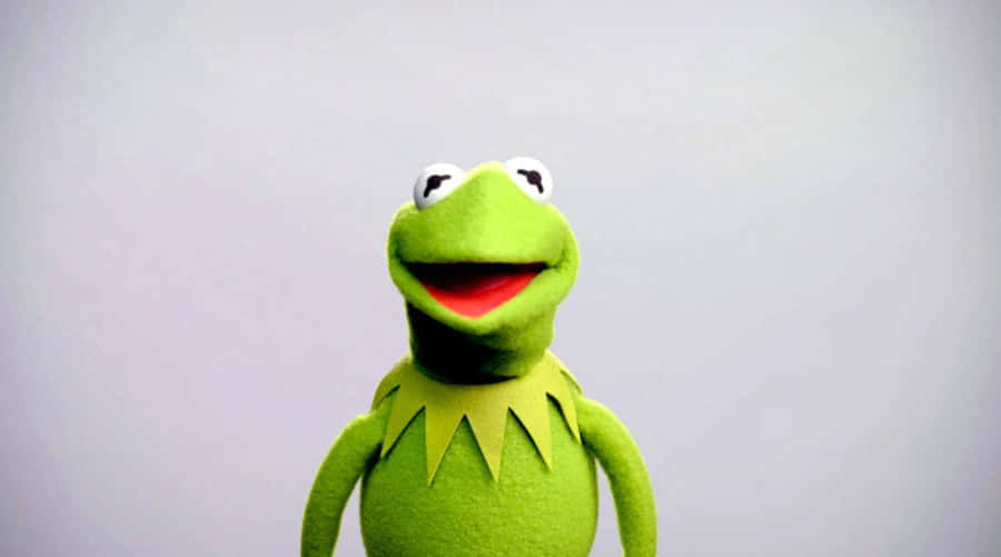 Aesthetic Kermit Feels The Summer Breeze Wallpaper